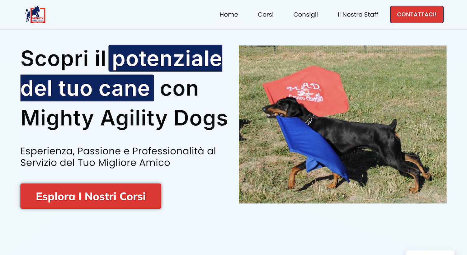 Mighty Agility Dogs — addestramento
